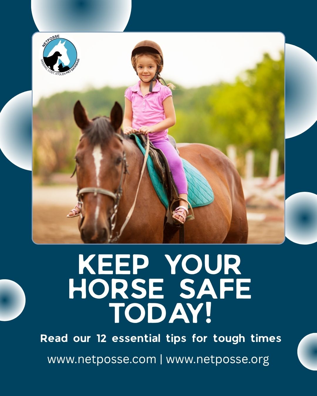 store/pages/2362/Keep Your Horse Safe Today!.jpg